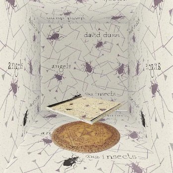 David Dunn [ Angels and Insects (30周年記念エディション) ] CD