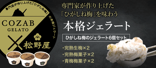 COZAB GELATO × 松野屋コラボ商品誕生！ひがしね梅のジェラート6個セット