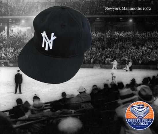 Ebbets Field Flannels New York Mammoths 1972 Home Jersey