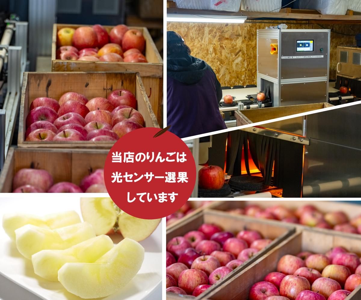 青森りんご　サンふじ ぐんま名月 光センサー選果