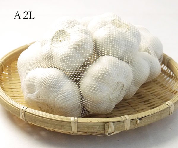 青森県産ホワイト六片種にんにくA品2Lサイズ１kg【高糖度