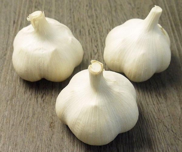 青森県にんにくタネ20Kg M グン様せ 青森県産ホワイト六片種にんにくA品2Lサイズ1kg【高糖度