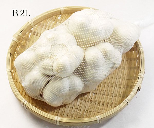 青森県産ホワイト六片種にんにくB品2Lサイズ１kg【高糖度】 - 青森