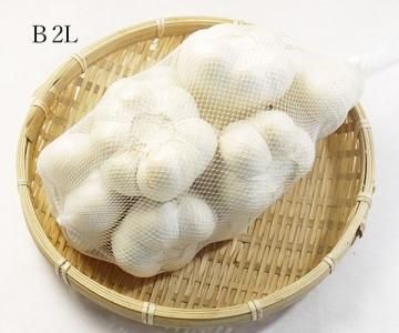 青森県産ホワイト六片種にんにく