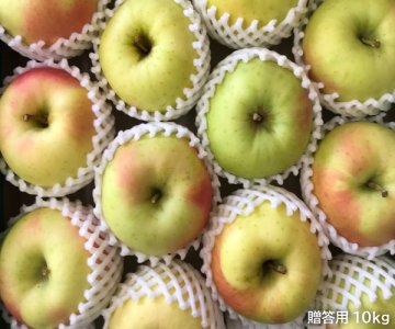青森県産りんご ぐんま名月[贈答用]約10kg（26〜36玉）光センサー選果済み品 ※11月上旬から発送予定です