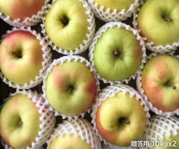 青森県産りんご ぐんま名月[贈答用]約10kgx2（52〜72玉）光センサー選果済み品　※2023年度の販売は終了いたしました