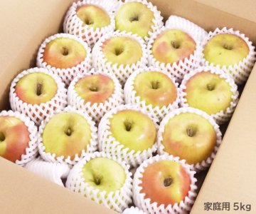 青森県産りんご ぐんま名月[家庭用]約5kg（13〜23玉）光センサー選果済み品　※11月上旬から発送予定です