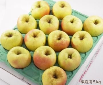 Ŀ ̾[]5kg1323̡˸󥵡̺Ѥʡ1110ʹߤȯͽ