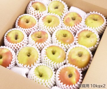 青森県産りんご ぐんま名月[家庭用]約10kgx2（52〜92玉）光センサー選果済み品※11月上旬から発送予定です