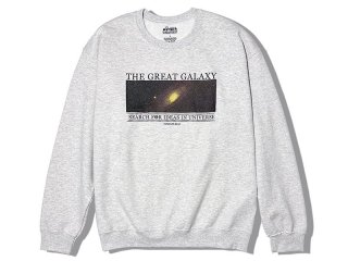 SUNDAYS BEST [ǥ ٥] THE GREAT GALAXY CREW NECK SWEAT/ASH