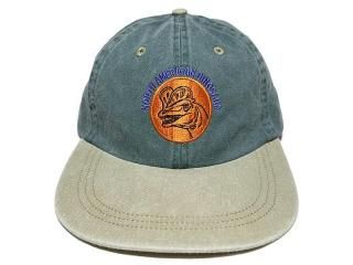 SUNDAYS BEST [ǥ ٥] DILOPHOSAURUS 6 PANEL CAP/KHAKIxFOREST GREEN