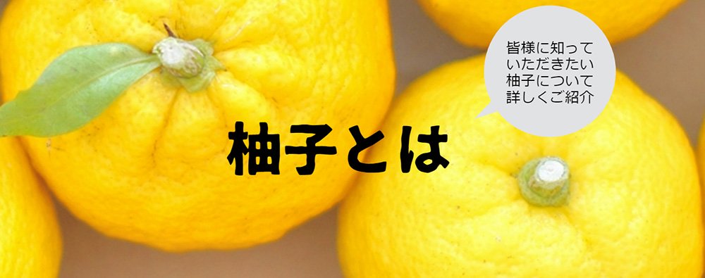 柚子とは - 柚子の通販・販売・お取り寄せ│宮崎県は銀鏡のゆず かぐらの里公式通販