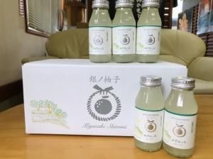 冬のお持たせ・贈り物-冬ギフトの通販は宮崎 銀鏡のゆず・柚子