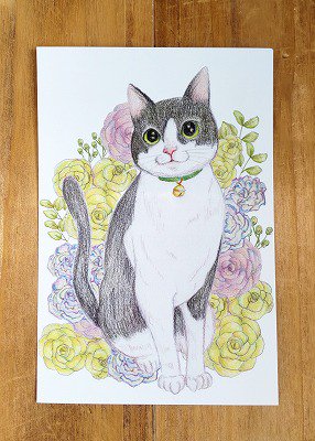 色鉛筆画色鉛筆画A4ハチワレ猫.81 - 絵画/タペストリ