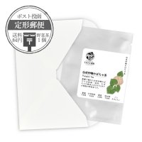 【定形郵便】野菜茶1個 白皮砂糖かぼちゃ茶