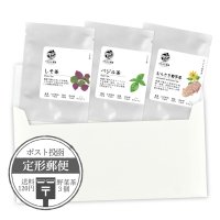 【定形外郵便】野菜茶3個Bセット