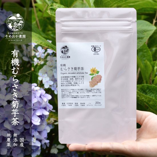 紫菊芋