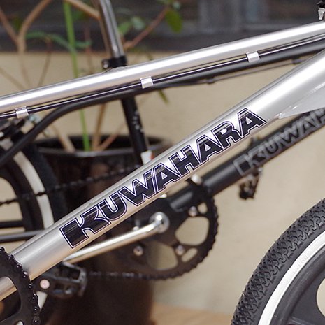 KUWAHARA / Exhibitionism SILVER