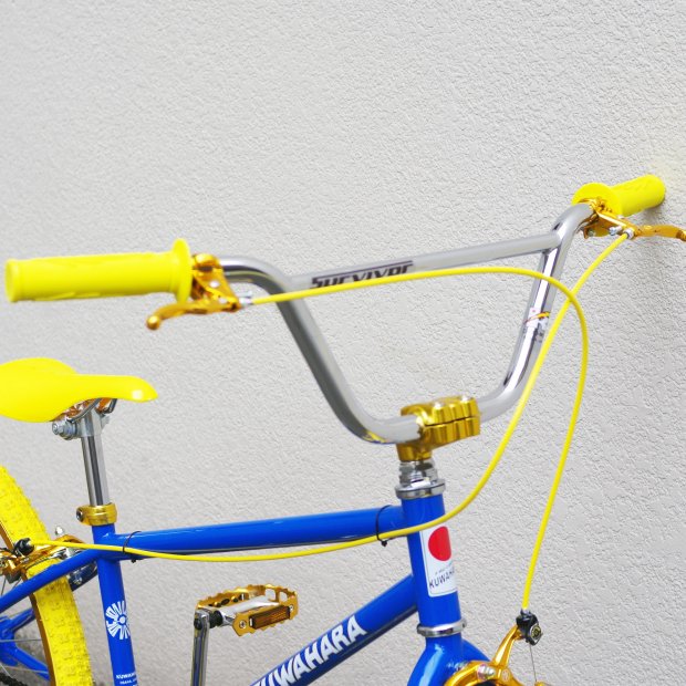 KUWAHARA / SURVIVOR 24 -BLUE / YELLOW- Candyrim