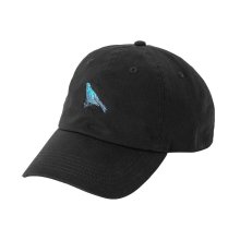 <img class='new_mark_img1' src='https://img.shop-pro.jp/img/new/icons5.gif' style='border:none;display:inline;margin:0px;padding:0px;width:auto;' />POET MEETS DUBWISE BIRDER TOURS CAP -black-