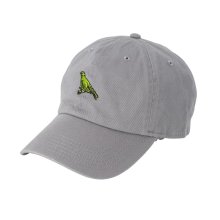 <img class='new_mark_img1' src='https://img.shop-pro.jp/img/new/icons5.gif' style='border:none;display:inline;margin:0px;padding:0px;width:auto;' />POET MEETS DUBWISE BIRDER TOURS CAP -gray-
