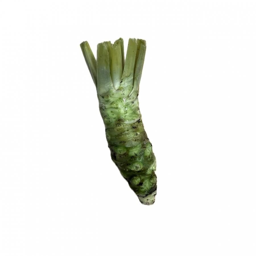 <img class='new_mark_img1' src='https://img.shop-pro.jp/img/new/icons15.gif' style='border:none;display:inline;margin:0px;padding:0px;width:auto;' />2025ǯۡÿ㸩蘆Ӥա1227.28.29.30Ϥ¢ǤΤϤˤʤޤ