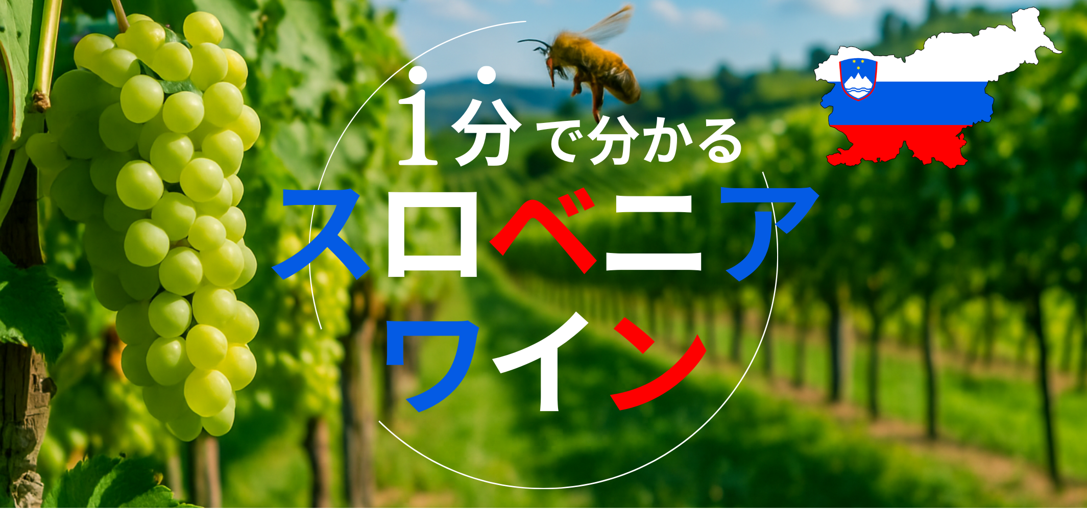 ٥˥磻