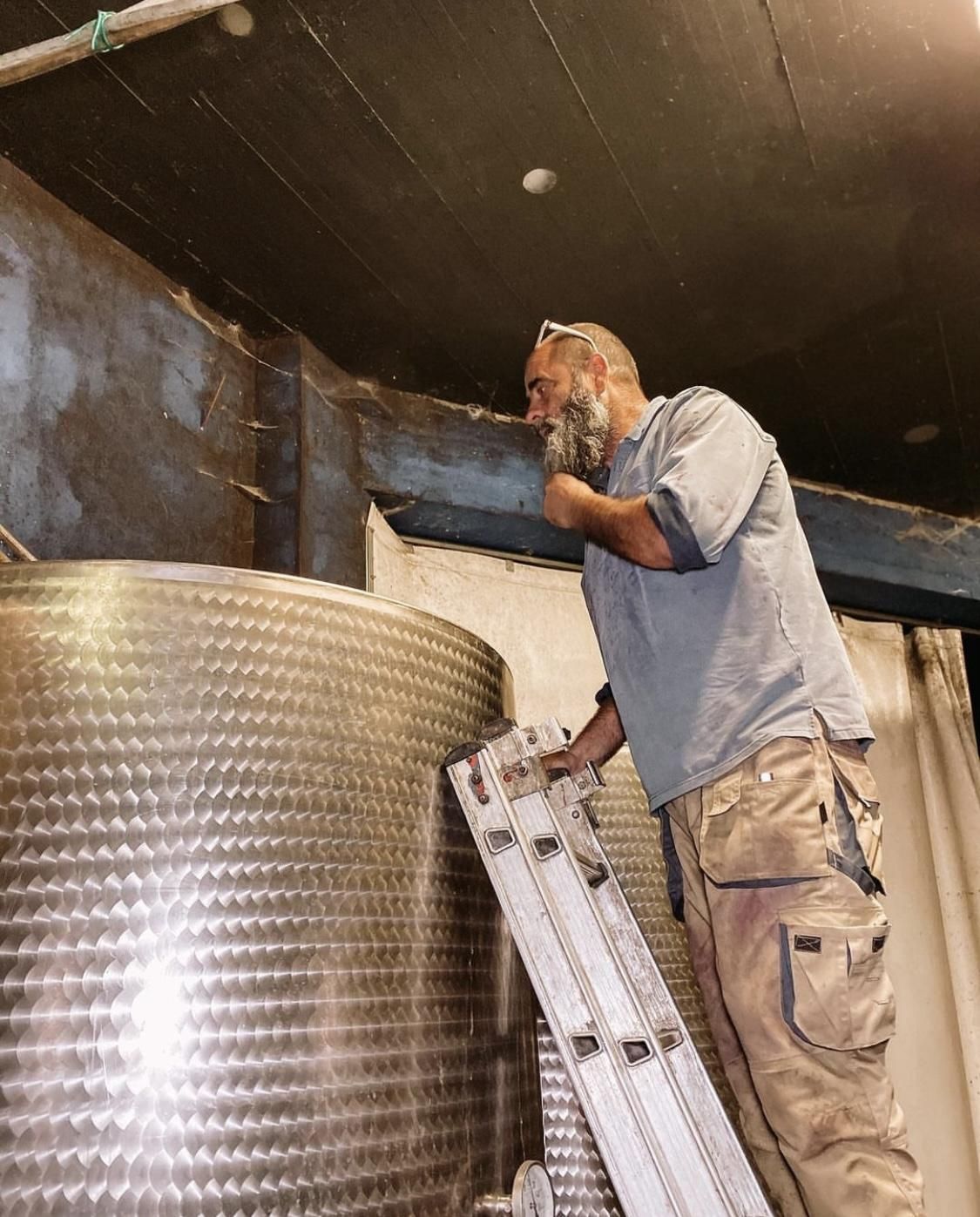 ワイン takayuki 楽天市場】【クーポン配布中】カラーズ/メタリックグレー