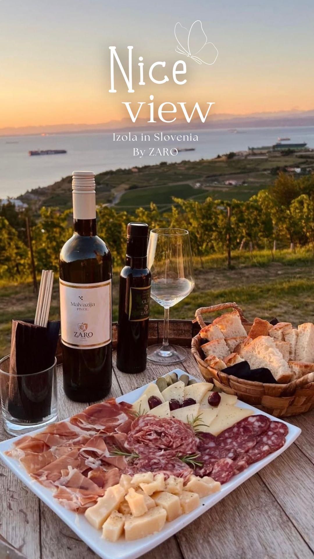 ԥ饤֡Discover Slovenian wine