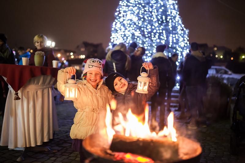 ɥ٥ȥޡåȤβȥ饤ȡ1