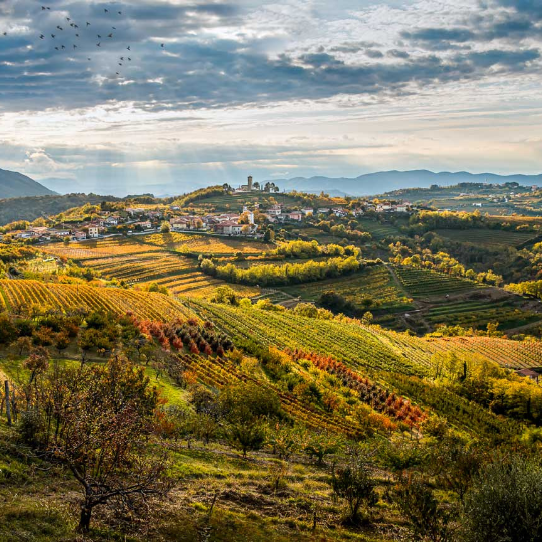 ���������˥����֥���ε֤Τ֤ɤ�Ȫ