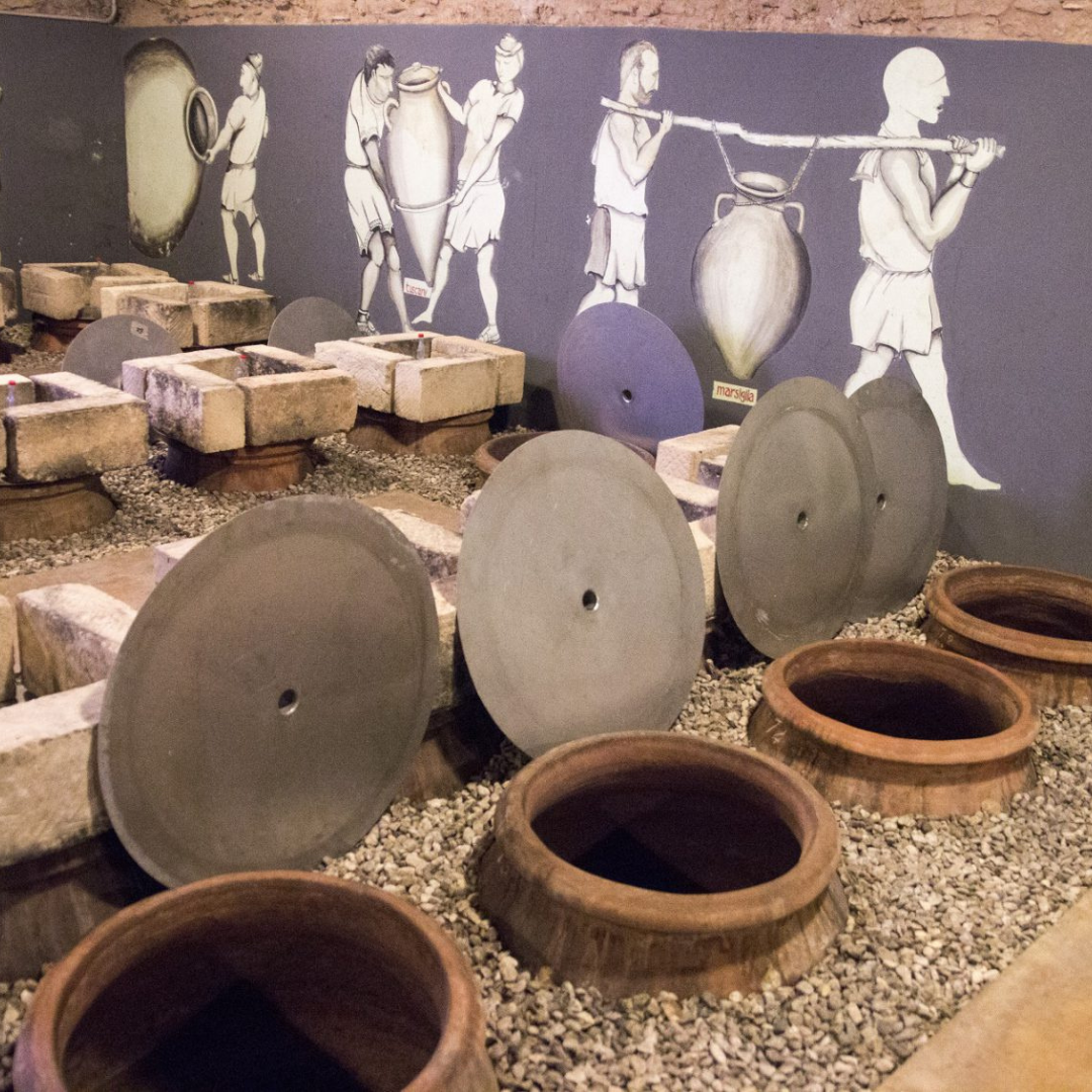 �ϲ��Υ�����������طʤ��ɤˤϸ���Υ磻��¤�꤬������Ƥ��롦����󥸥磻��ε����ϥ��硼��������