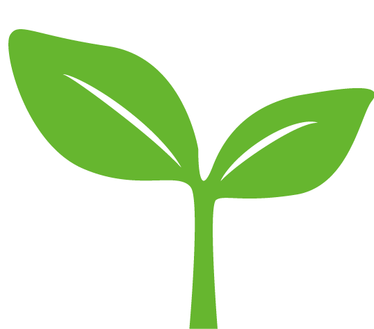 ճʸ