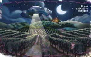 葡萄好き 白ワイン好き【ギフト】🎁《スッキリを瓶で熟成》限定388本 特製麻袋に