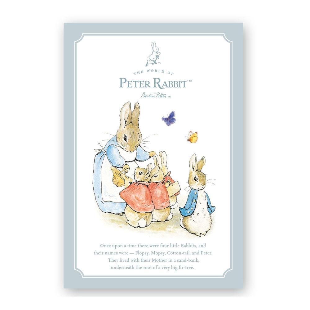 BEATRIX POTTER ピーターラビット♥木製 フレーム sudouestprimeurs.fr