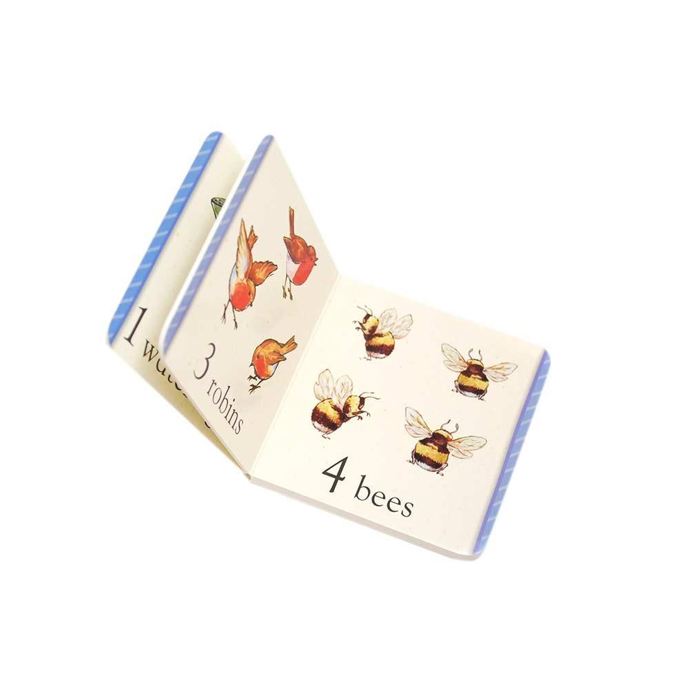 英語のえほん】Peter Rabbit My First Little Library PR