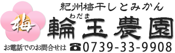 紀州南高梅の梅干し産地直送｜輪玉農園