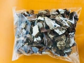 サルノコシカケ | iichi 日々の暮らしを心地よくする