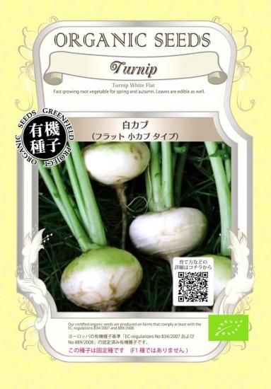 白 カブ フラット 小カブ かぶ 有機 種子 固定種 グリーンフィールド 根菜 小袋 オーガニック家庭菜園ショップ おうち菜園 白 カブ フラット 小カブ かぶ 有機 種子 固定種 グリーンフィールド 根菜 小袋 オーガニック家庭菜園ショップ おうち菜園