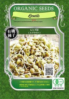 有機 レンズ 豆 / 有機 種子 固定種 / グリーンフィールド / スプラウト [小袋]