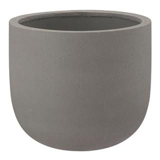 ǥ Uݥå  cm / 󥯥꡼ /  ȭ ץ󥿡  졼  