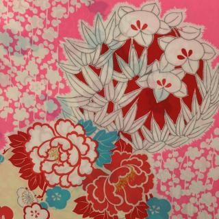 錦紗 錦紗