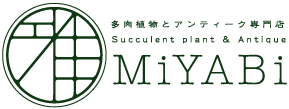 寄せ植え バードケージ 多肉植物とアンティーク専門店 Miyabi 雅