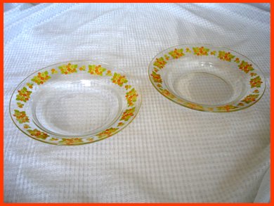 昭和レトロ食器 花柄ガラス皿 2枚セット