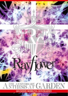 CD／DVD - Rayflower Official Web Shop