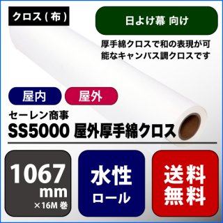 SS5000ʥW:1067mm