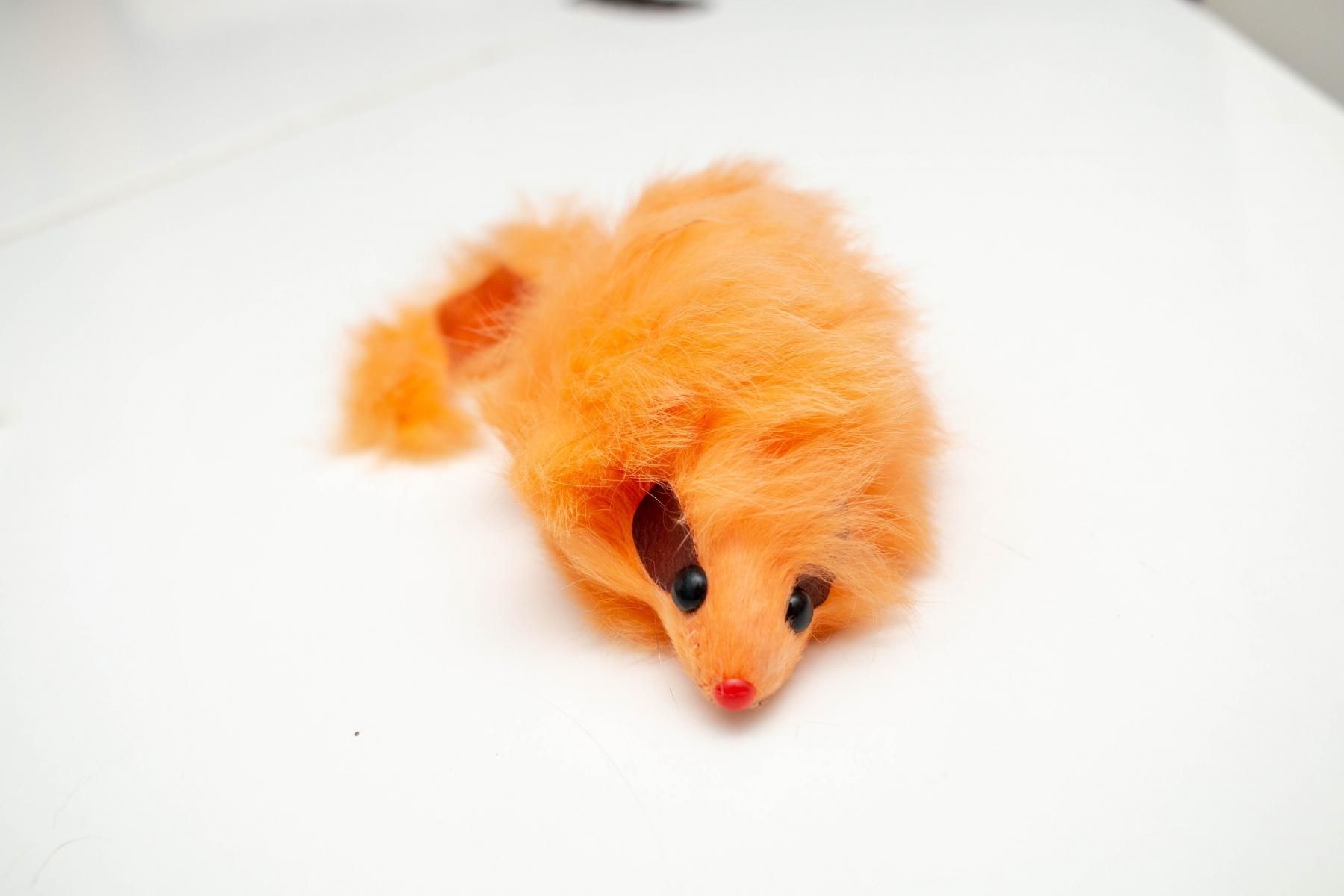 オレンジカルサイト 特大 大人気ネズミ 最終価格❣️】オレンジカル