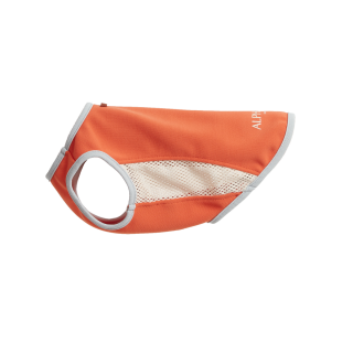 IѡSUMMER COOLING TANKTOPޡ󥰥SM  2024 DIETER ORANGE