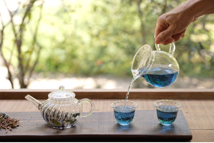 発酵 藍茶を煎れている