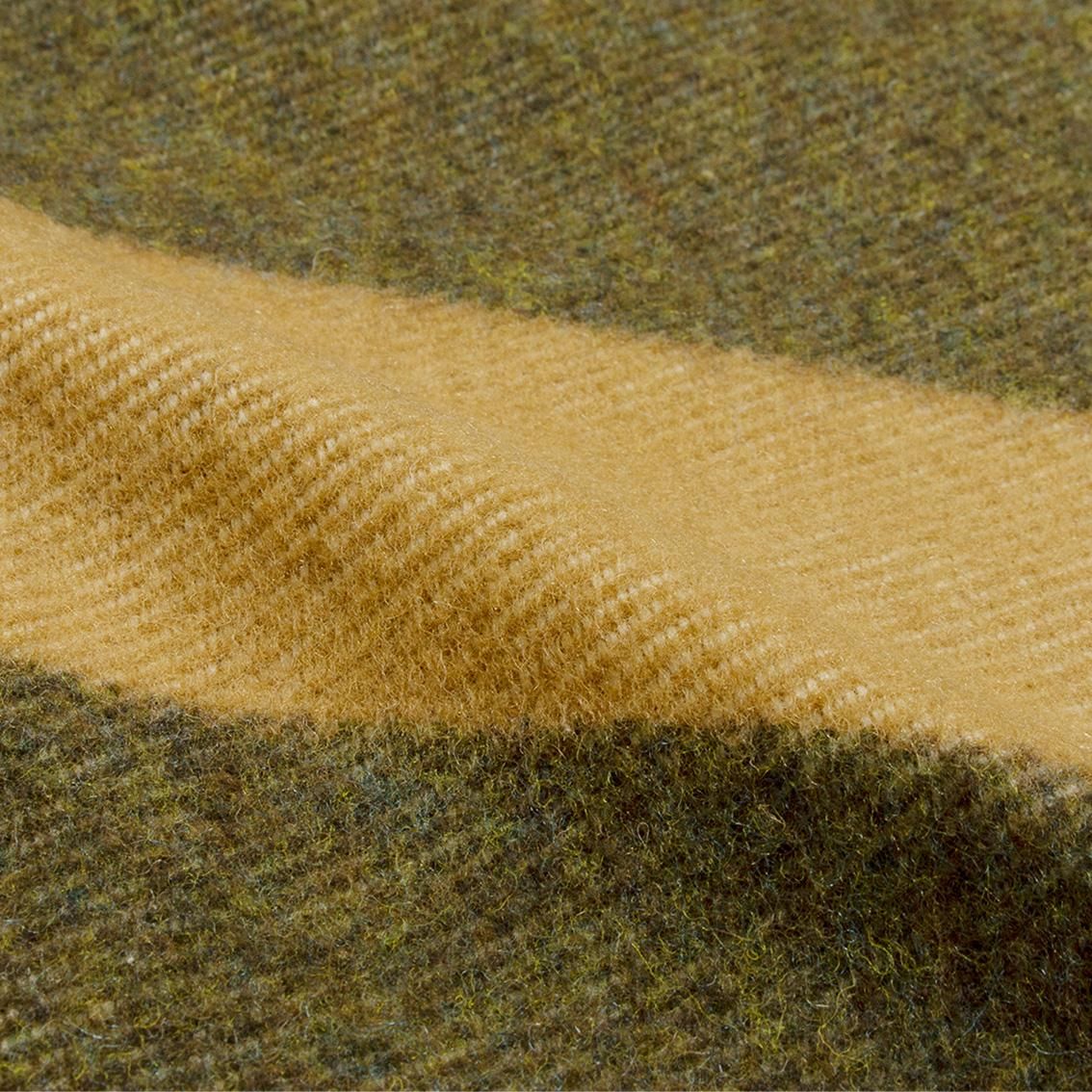 basshu_75643.jpg